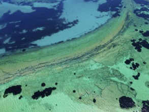 Aerial view, turquoise sea, Kriaritsi, Sithonia, Chalkidiki, Central Macedonia, Greece, Europe