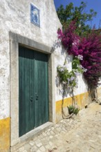 Picturesque alley, houses decorated with flowers in the medieval village of Óbidos, Portugal,