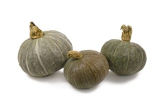 Three Blue Kuri Hokkaido squashes on white background