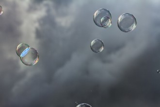 Soap bubbles iridescent, floating in front of dark clouds, wallpaper