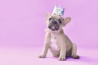 French Bulldog dog puppy wearing a paper crown with lace and ribbons on pink background with empty