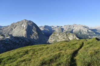 View from the summit meadow of the Fagstein to Kahlerberg and Steinernes Meer, Berchtesgaden