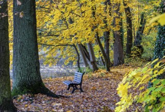 Autumn time at Lehnitzsee, Lehnitz, Brandenburg, Germany, Europe