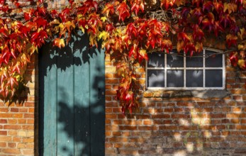 Autumn season, castle park and outbuildings, Ahrensburg, Schleswig-Holstein, Germany, Europe