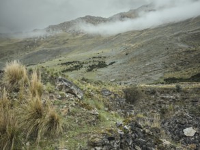 Landscape in the Andean highlands, Curipata, Peru, South America