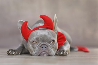 French Bulldog dog wearing red devil horns, tail and bow tie Halloween costume in front of gray