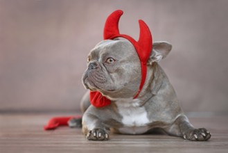 French Bulldog dog wearing red devil horns, tail and bow tie Halloween costume in front of gray