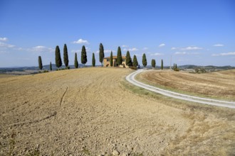 Cypresses in front of a country house, near Pienza, Val d'Orcia, Orcia Valley, Tuscany, Italy,