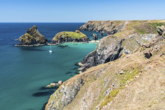 Kynance Cove and Asparagus Island, Cornwall, England, United Kingdom, Europe