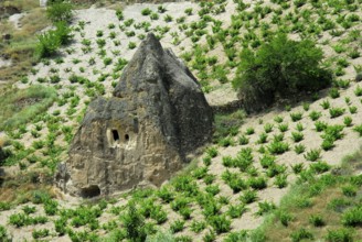 Cave dwelling in tuff rock, Soganli, Turkey, Asia