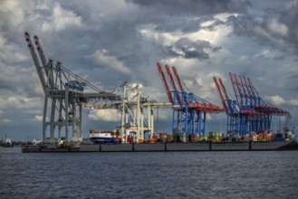 Cranes, Port, Hamburg, Germany, Europe