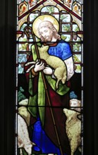 The Good Shepherd, stained glass window, Church of Saint Mary, Mendlesham, Suffolk, England, UK