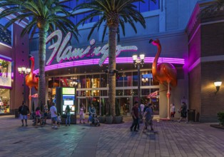 Tourists walking past the purple and pink neon lights at the entrance to the Flamingo Las Vegas