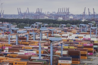 Altenwerder container terminal in Hamburg, 26/07/2024. /