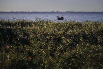 A fisherman hauls in his nets in the early morning near Born am Darß on the Bodstedter Bodden.