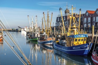 The harbour of Neuharlingersiel, East Frisia, Lower Saxony, fishing boats, fishing cutter,