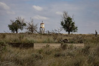 Granada, Colorado, The World War II Amache Japanese internment camp in southeast Colorado. More