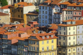 View of Portuguese traditional colorful houses in Porto city, Portugal, Europe