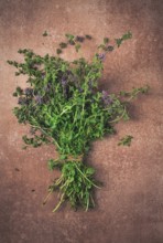 Bouquet of herb ombalo, marsh mint, bunch of mint, top view, on a brown background, spice, Georgian