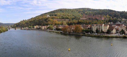 Panoramic picture of Heidelberg with the Neckar in the foreground