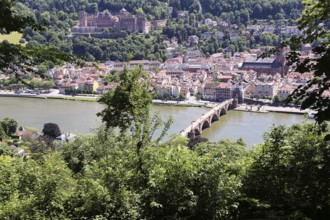 Panoramic view of Heidelberg