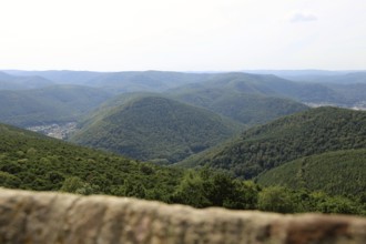 Panorama of the Palatinate Forest