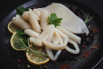 Fresh squid, raw, carcass, cut into rings, top view, no people