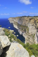 Coastal clifftop landscape view westwards at Ta' Cenc cliffs, island of Gozo, Malta, Europe