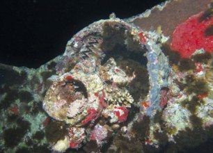 Winch on the upper deck, dive site wreck of the Thistlegorm, Red Sea, Egypt, Africa