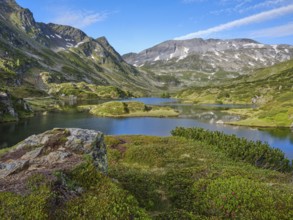 Giglachsee with Almrausch, mountain landscape, blue sky, Schladminger Tauern, Schladming, Styria