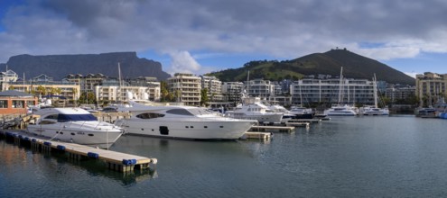 Yacht harbour, marina, with Signal Hill, dockyard and harbour district, Victoria & Alfred