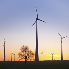 Wind turbines at dawn, Wevelsburg wind farm, Büren, Paderborn plateau, North Rhine-Westphalia,