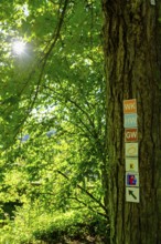 Hiking trail signs, on the Franconian Saale, Steinhof, Lower Salt Works, Bad Kissingen, Rhön, Lower