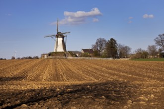 Historic Grottenherten tower windmill, Bedburg, Rhine-Erft district, Lower Rhine, North