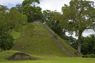 Jaguar on pyramid Mayan culture Belize Central America