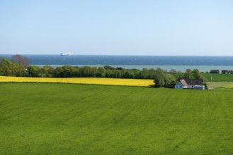 View from Hatbakken Fakkebjerg, Bagenkop, Langeland, Agriculture, Rapeseed cultivation, Ferry Color