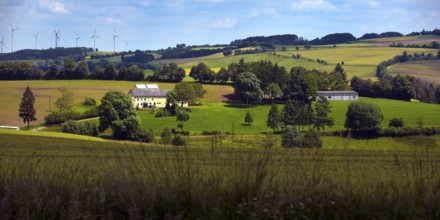 Panoramic view of cultural landscape, local community of Jucken in the Eifel district of