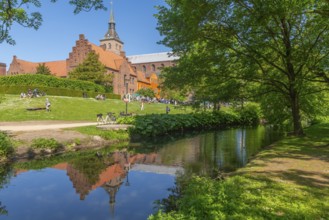 Odense, green area, monastery, brick building, stepped gable, tower of the cathedral church, St.