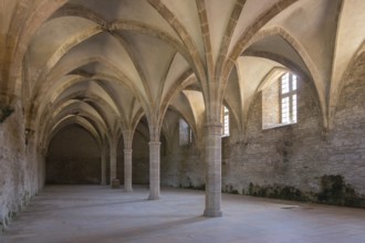 Cistern of Cluny Abbey, Cluny, Saône-et-Loire, Burgundy, France, Europe