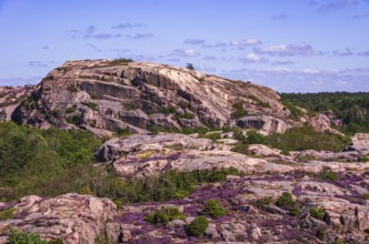 View over the granite cliffs from Hornborgs slottsruin, the ruins of Hornborg Castle near