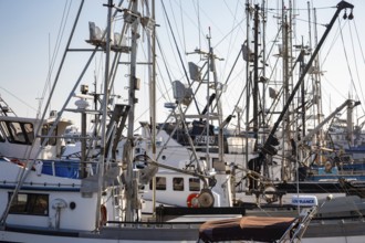 Crescent City, California - Fishing boats in Crescent City harbor