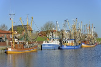 Crab cutter in the harbour of Greetsiel, blue sky, North Sea, Lower Saxony, Germany, Europe