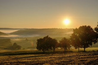 Morning fog over the Werra valley, Weißenborn near Eschwege, Werra-Meißner district, Werra valley,