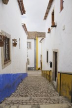 Old street with mosaic style paving stone stairs and white roughcast buildings with blue and yellow