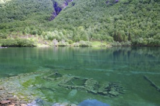 A quiet mountain lake with green forests and mountains reflected in the clear water in the