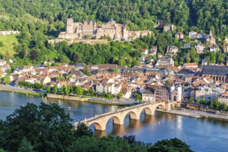 View of the Neckar River Castle and Old Bridge in Heidelberg, Germany, Europe