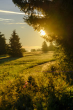 Am Heidelstein, Schwabenhimmel, UNESCO Biosphere Reserve, near Hausen, Rhön, Bavarian Rhön, Rhön,