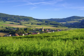 Fladungen, Rhön, Bavarian Rhön, Rhön, Lower Franconia, Bavaria, Germany, Europe