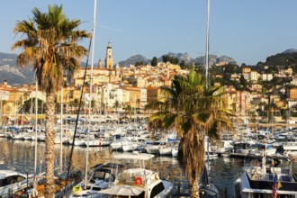 The town of Menton reflects, Côte d'Azur, Provence, France, Europe