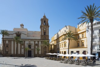 Historic cathedral on a sunny square with palm trees and blue sky, Iglesia de Santiago Apóstol,